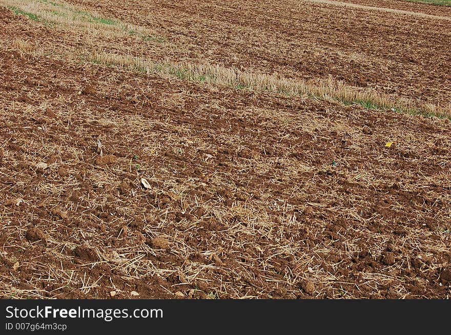 Field texture