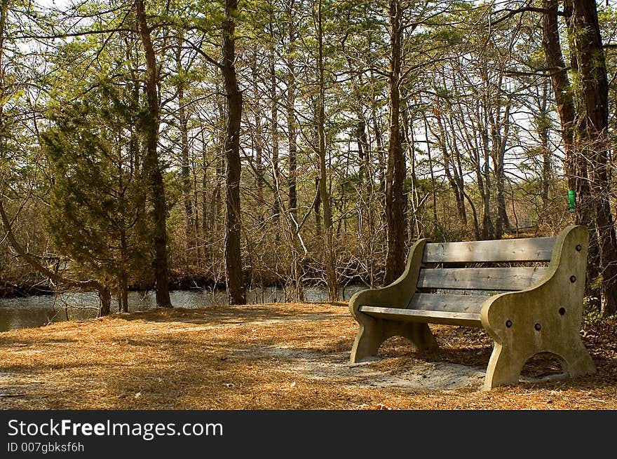 Empty park bench on a wooded path by a small lake. Empty park bench on a wooded path by a small lake