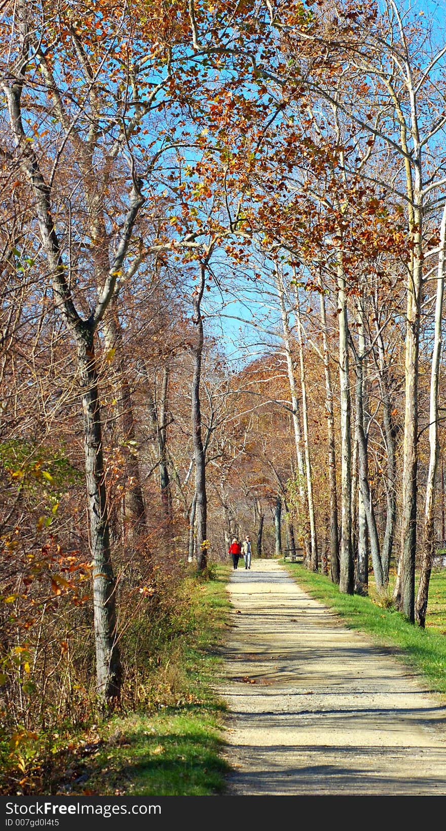 Trail along Potomac River