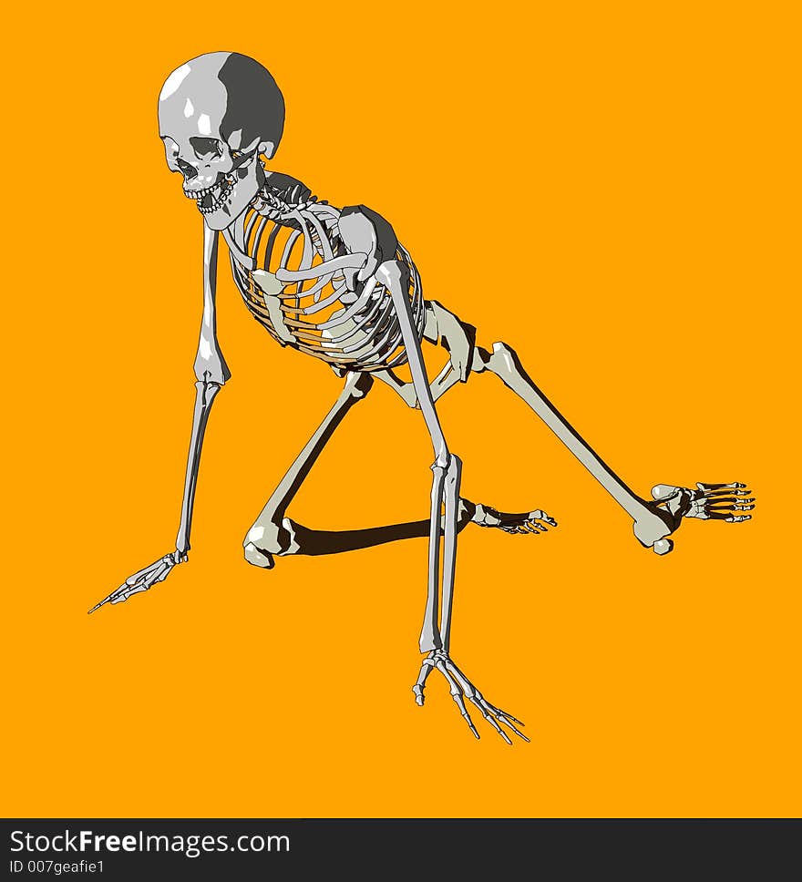 A illustrated skeleton in a pose. A illustrated skeleton in a pose.