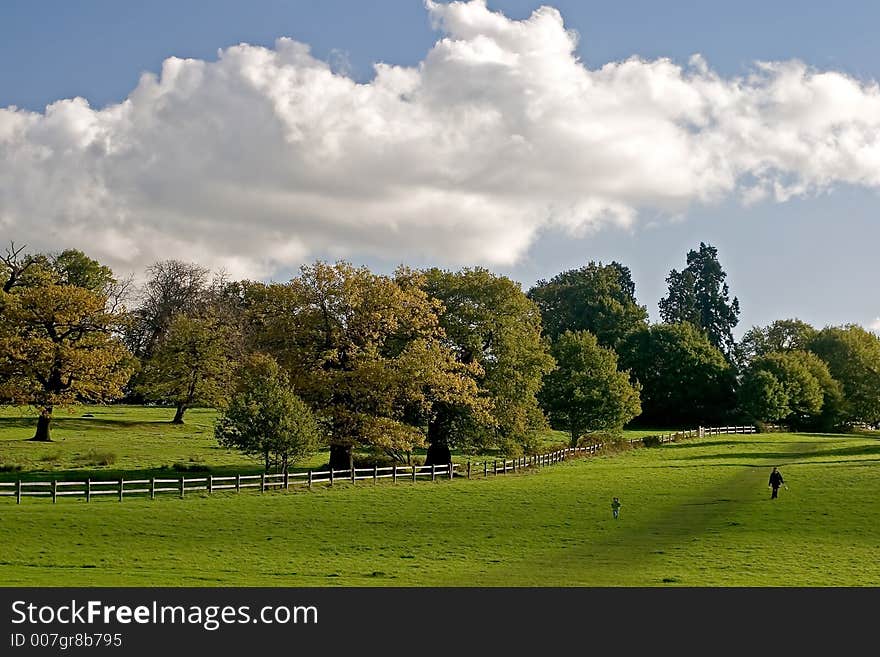 A walk in the park