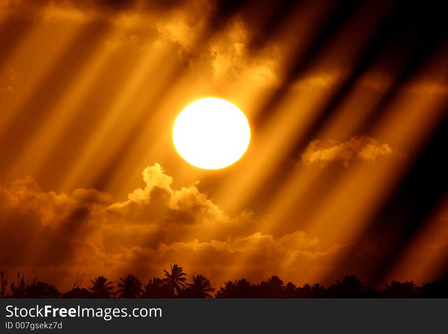 A sunset silhouette in barbados