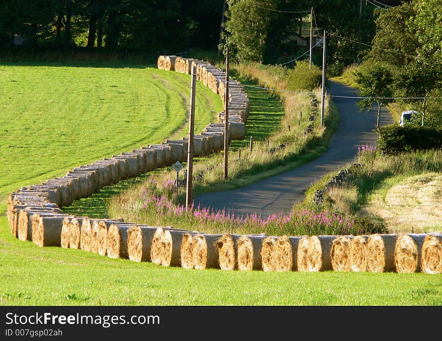 Round hay bales in a field beside a winding country road in sunlight. Round hay bales in a field beside a winding country road in sunlight