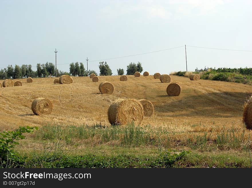 Tuscany countryside