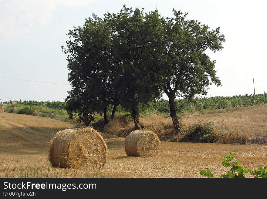 Tuscany countryside