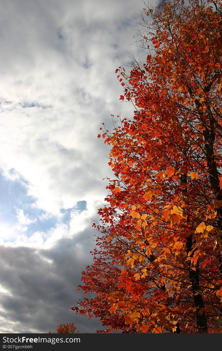 Stormclouds form during the autumn season. Stormclouds form during the autumn season.