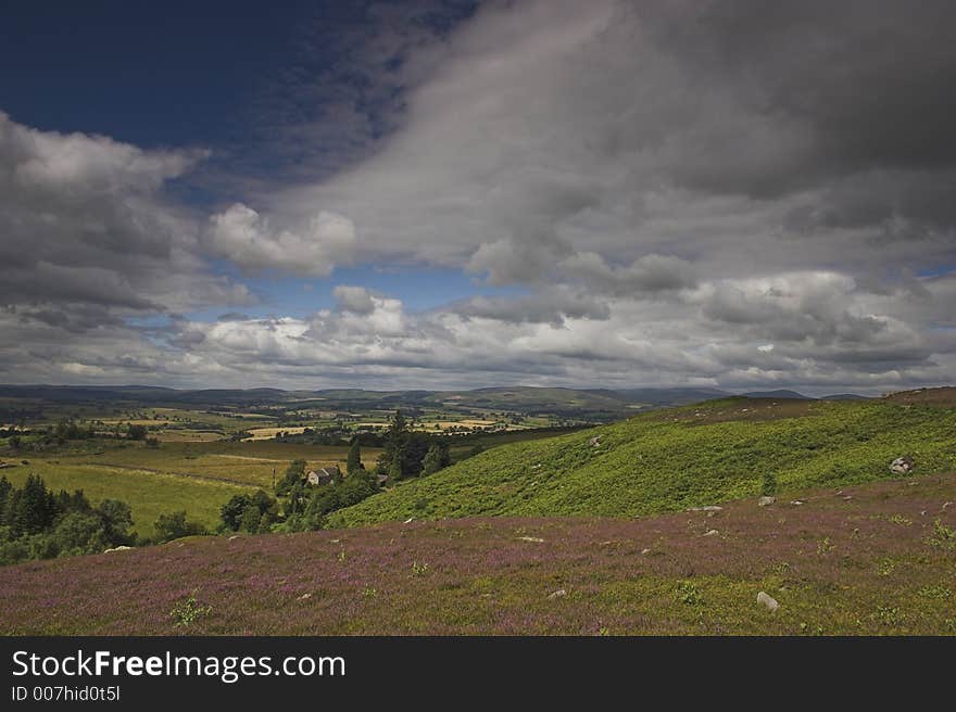 Moorland Landscape