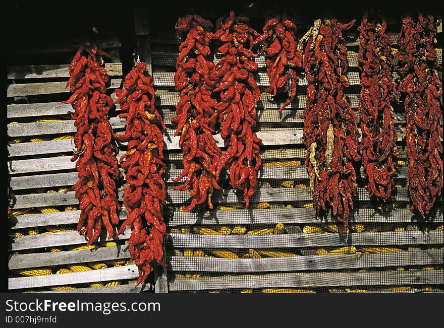 Drying red peppers and corns.
Dead peppers.