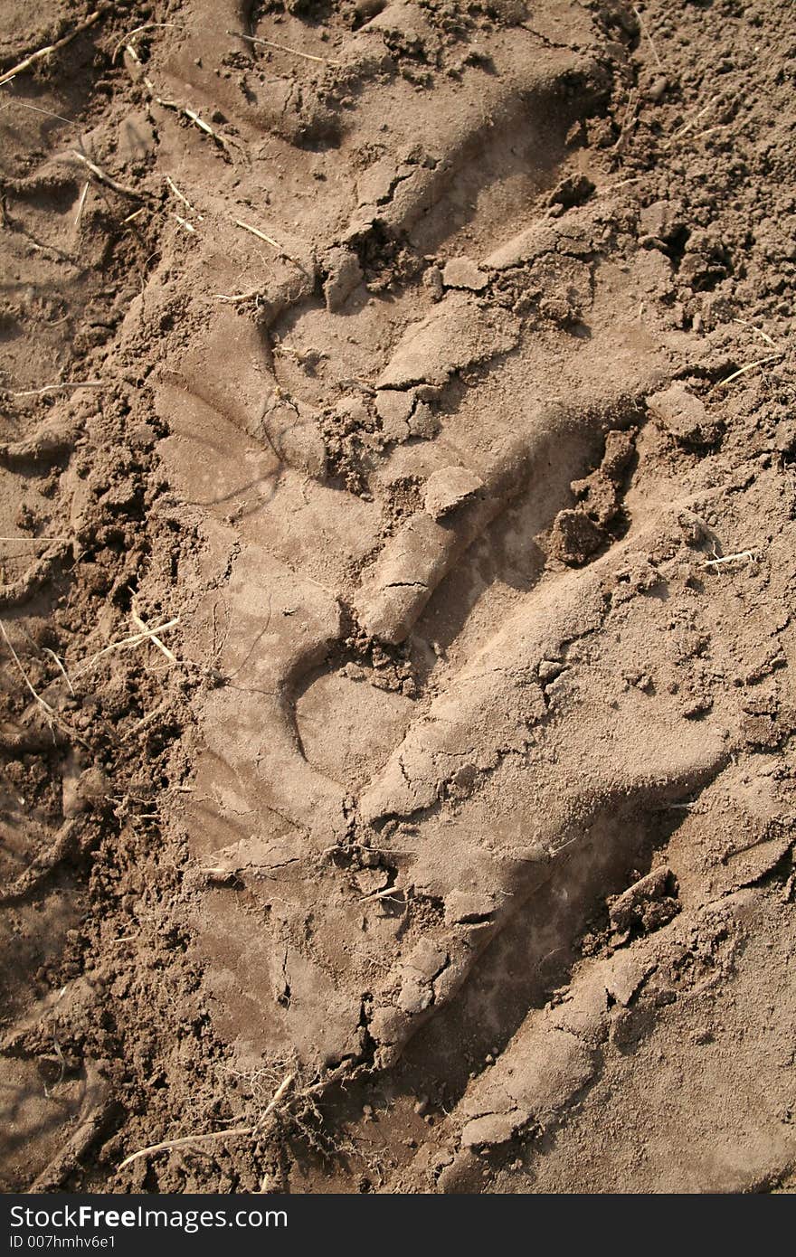 A furrow of ploughed up earth