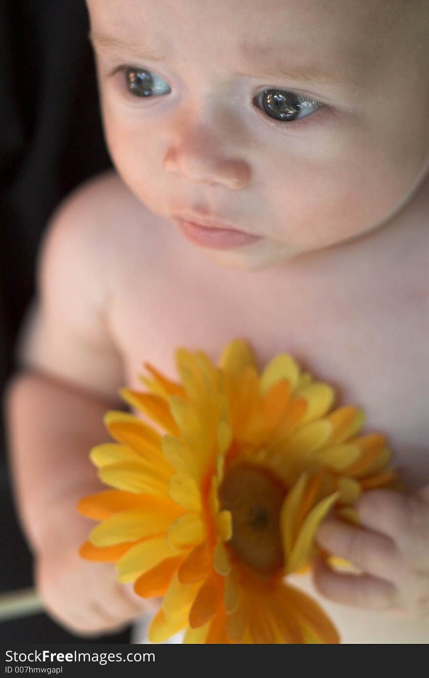 Image of a cute baby holding a yellow silk flower. Image of a cute baby holding a yellow silk flower