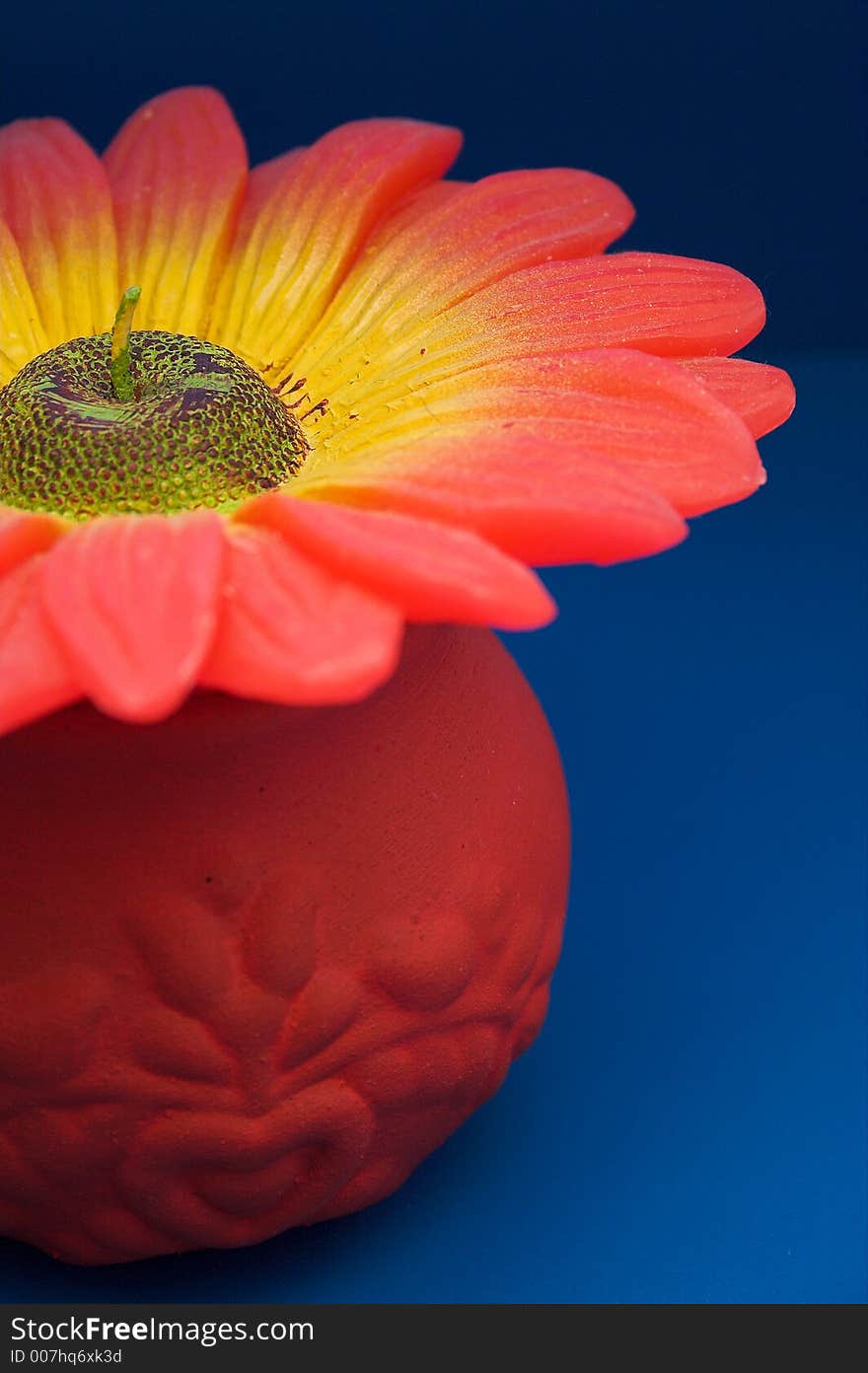 Big flower candle posed on a blue shelf