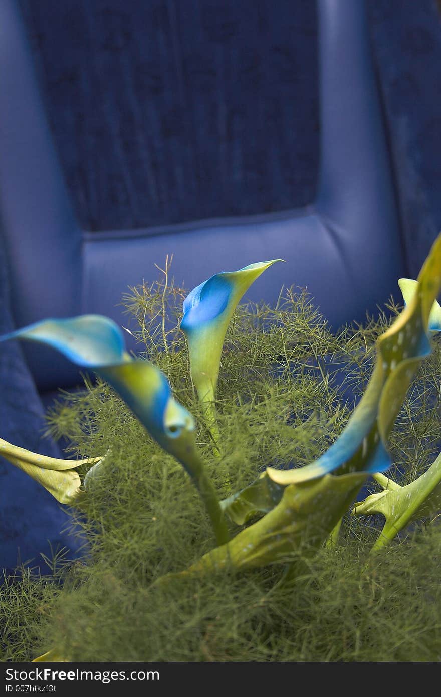 Blue-green flowers in the room,with a armchair in the background. Blue-green flowers in the room,with a armchair in the background