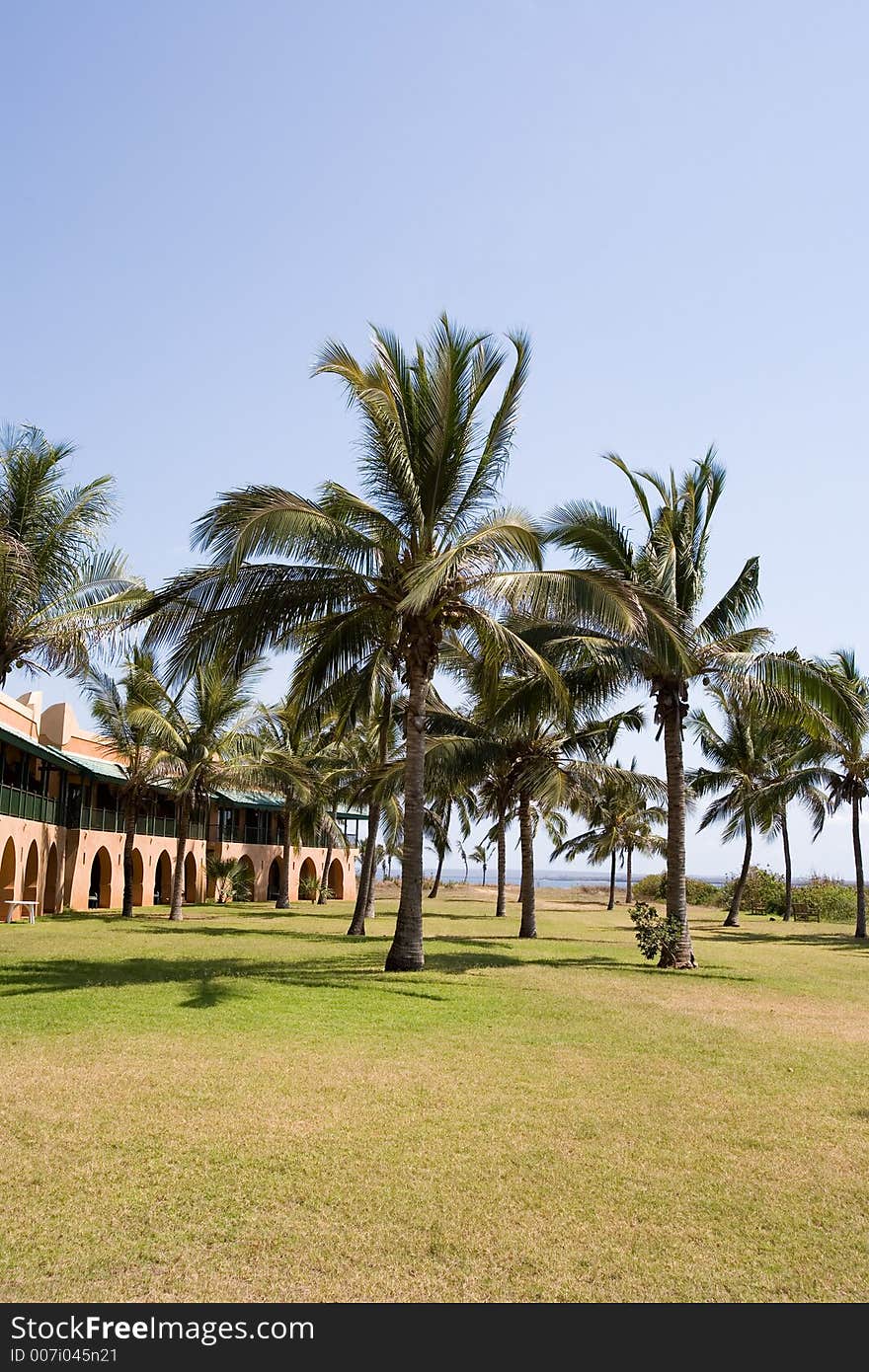 Lodges at a tropical hotel resort