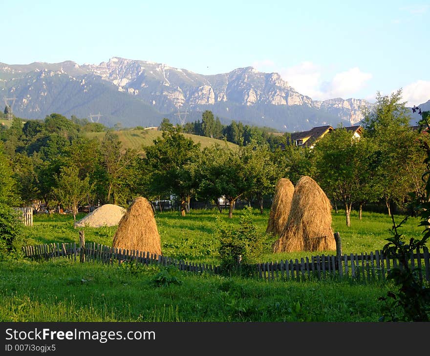 Hay stacks with green trees on mountain background