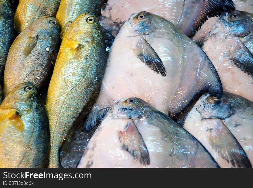 Fish At The Market