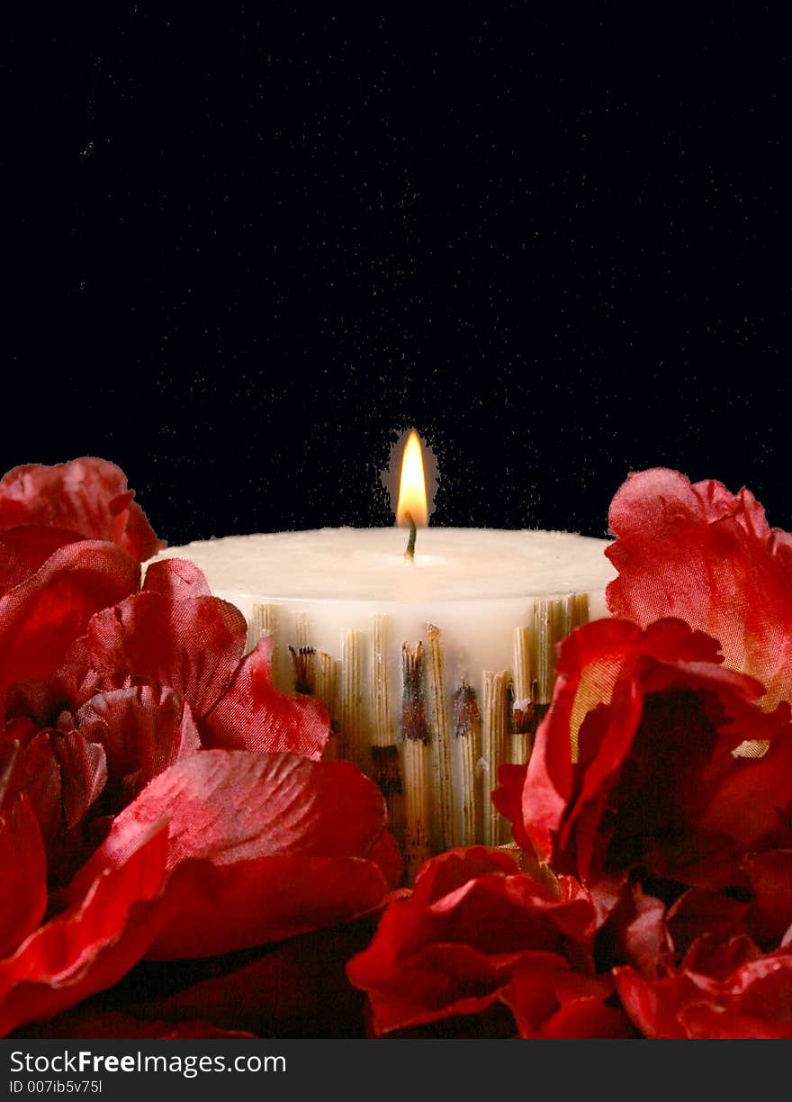 Still life with a black background, candlelit with vibrant red flowers. Still life with a black background, candlelit with vibrant red flowers.