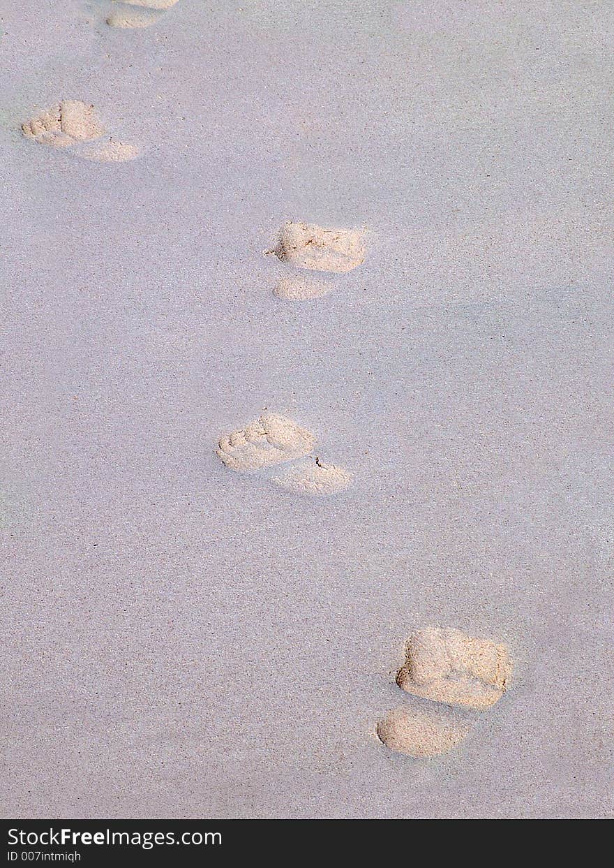 Foot steps on a sandy beach in Barbados. Foot steps on a sandy beach in Barbados