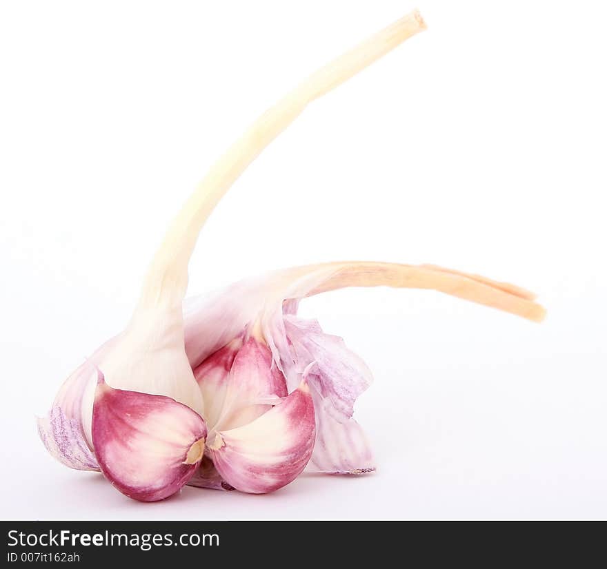 Garlic cloves isolated on white, macro close up with copy-space, copy space.