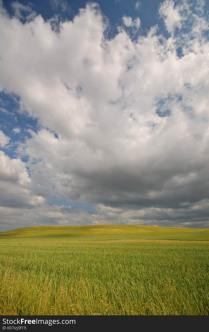 Summer field on a stormy afternoon