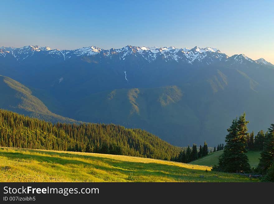 Mountain meadow in Washington State