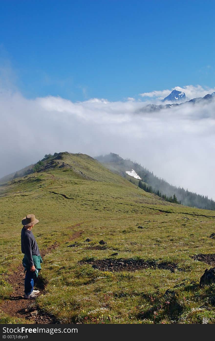 Hiking trail in the mountains