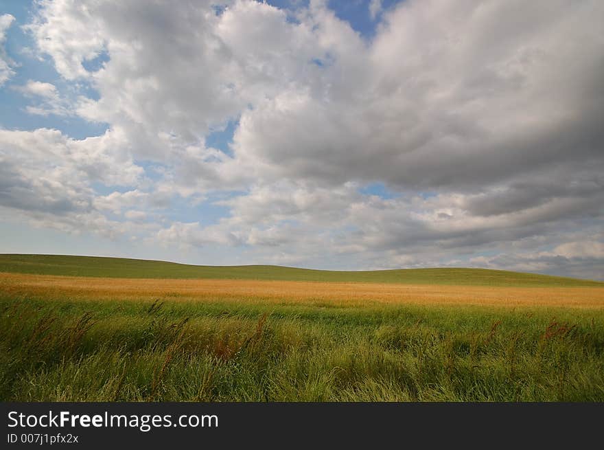 Summer field on a stormy afternoon