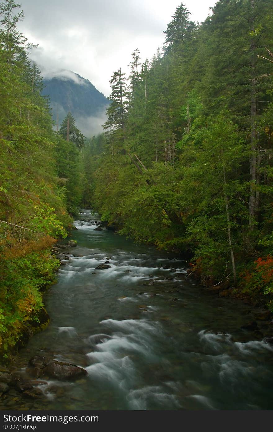 Waterfall in the forest of the Olympic Peninsula of Washington State. Waterfall in the forest of the Olympic Peninsula of Washington State