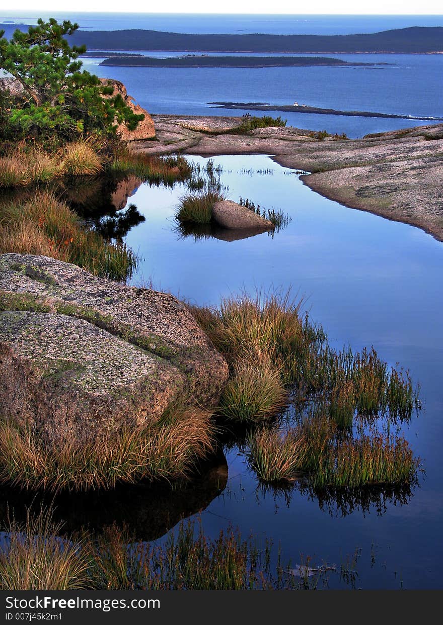 Ocean View And Water Hole