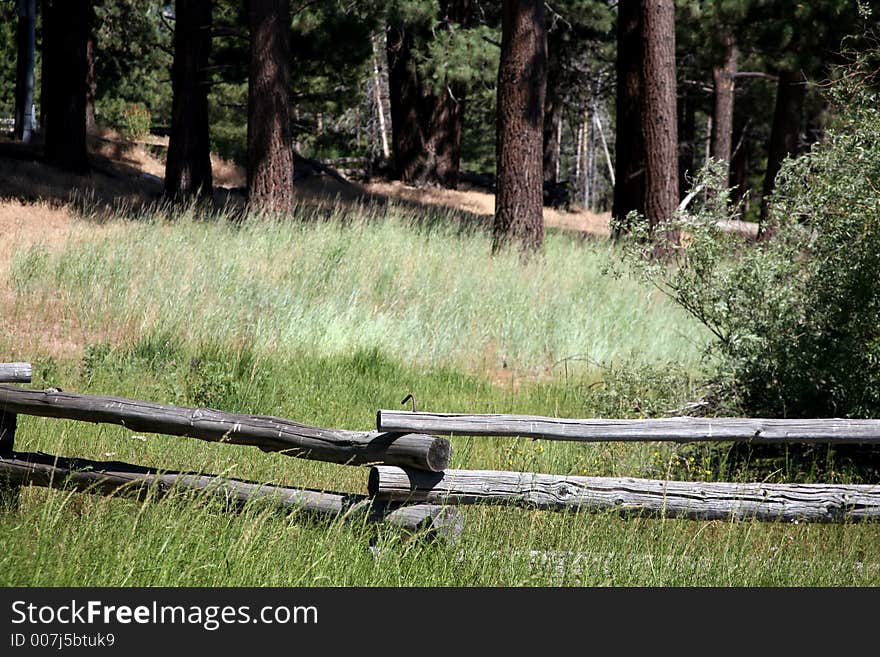 Rustic wooden fence with wilderness in the background