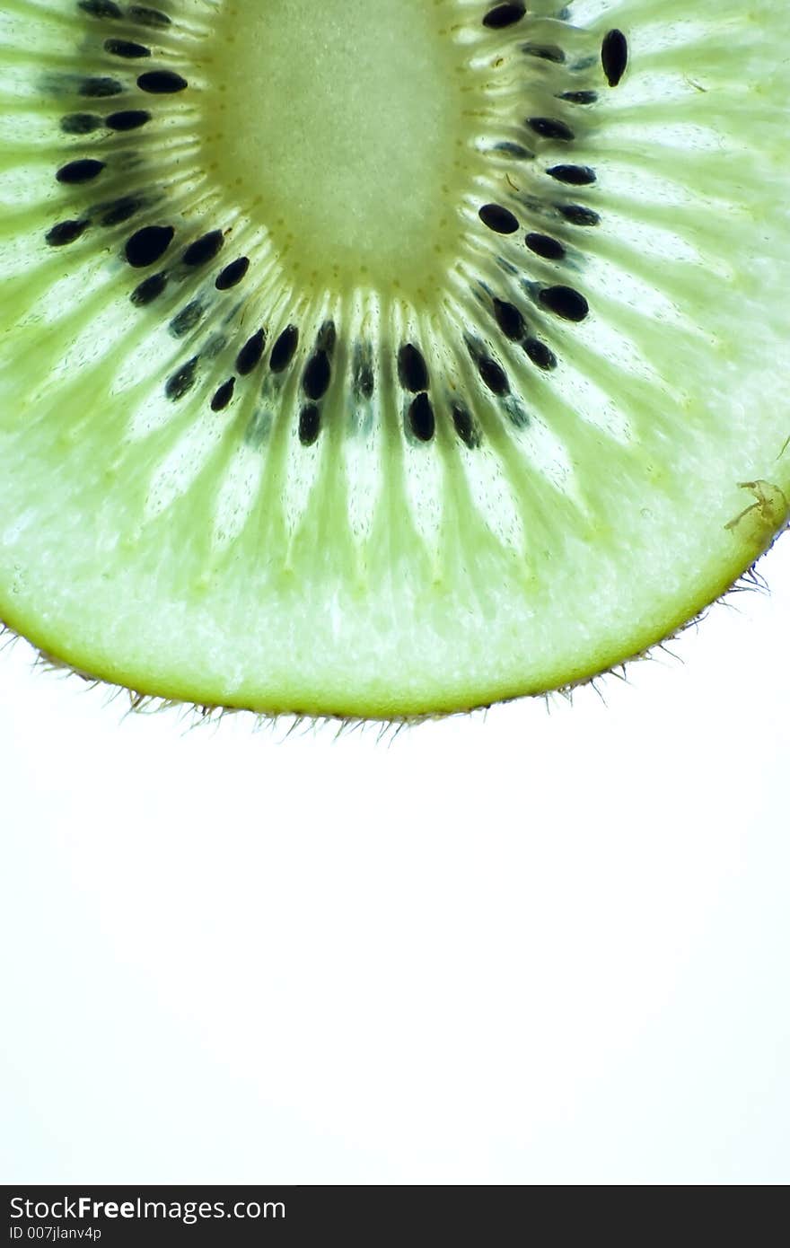 Kiwi Close Up