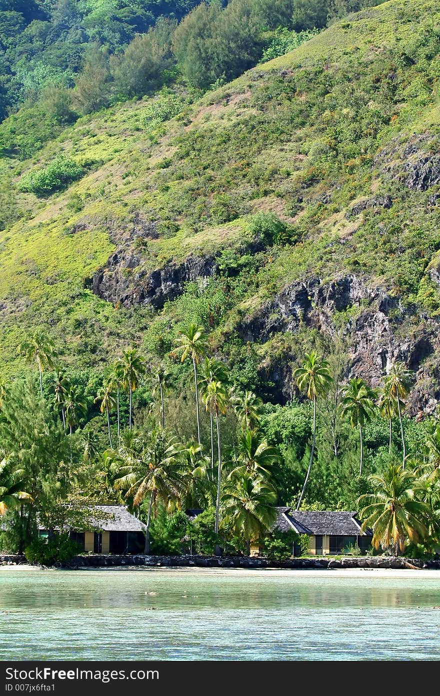 Tropical Beach Houses