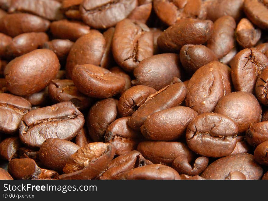 Sample of Freshly Roasted Coffee Beans