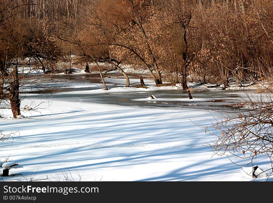 Swamp in winter