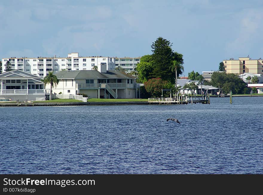 Pelican Swooping for food in the Gulf Bay beside Boca Ceiga Millinum Park, Seminole Florida. Pelican Swooping for food in the Gulf Bay beside Boca Ceiga Millinum Park, Seminole Florida