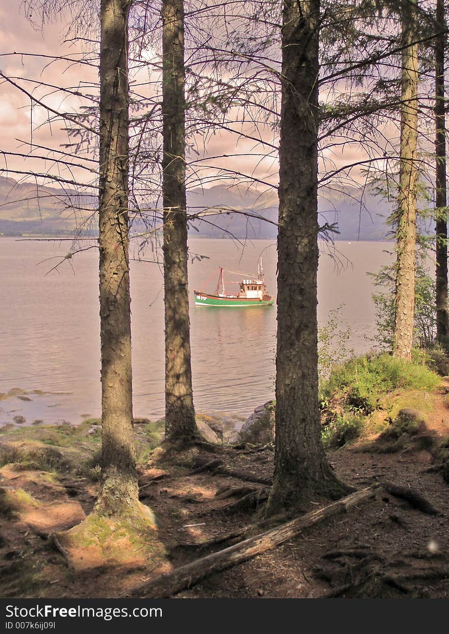 Fishing boat between the trees