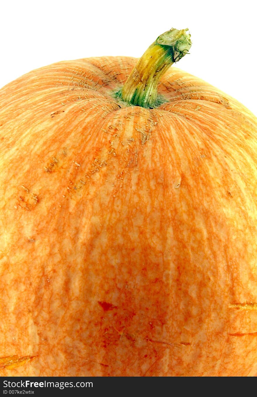 Giant pumpkin close-up