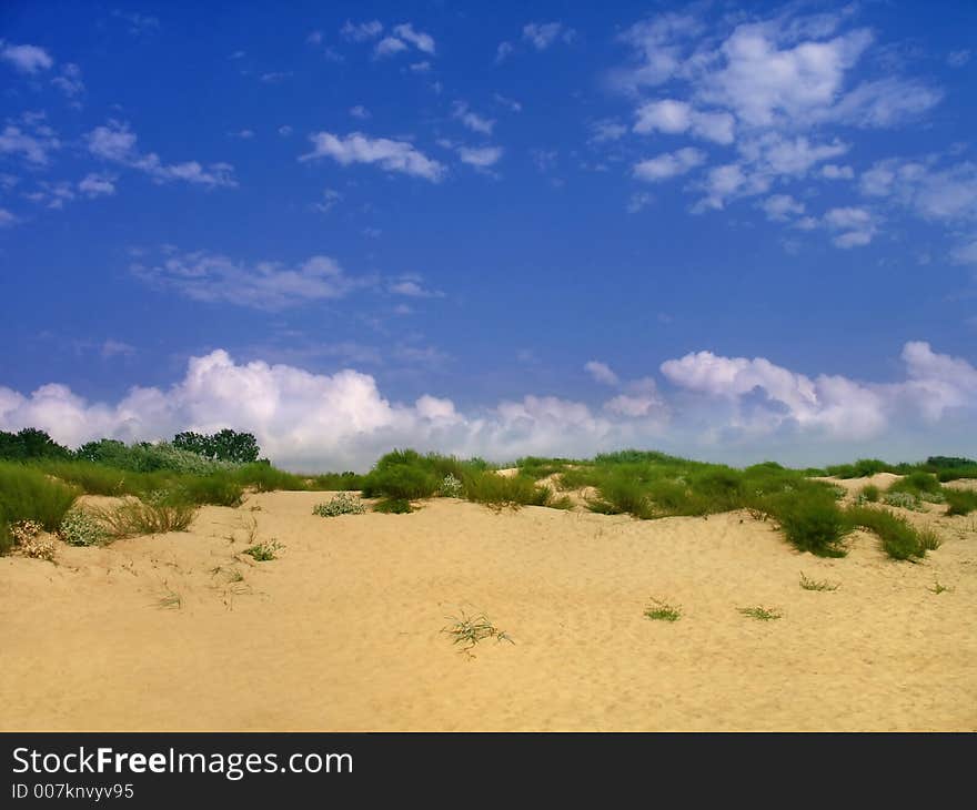 Beautiful sandy beach