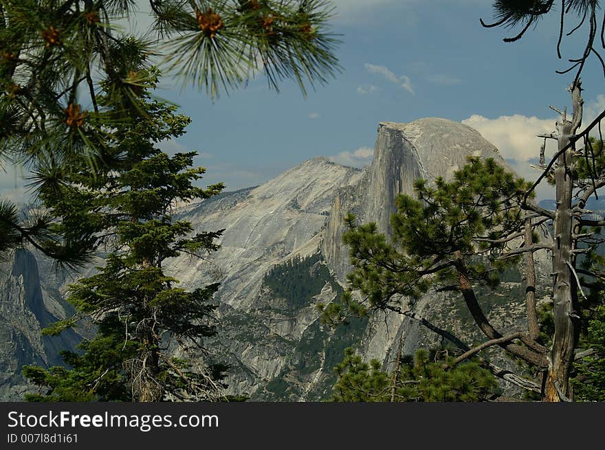 Half dome as seen through the trees of Glacier Point. Half dome as seen through the trees of Glacier Point