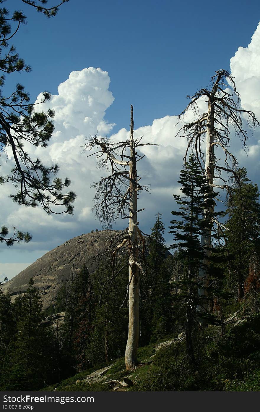 Clouds and sky from trail leading to sentinal dome. Clouds and sky from trail leading to sentinal dome