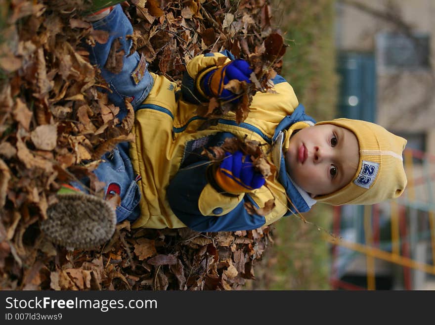 The boy is removed in the autumn among fallen down leaves