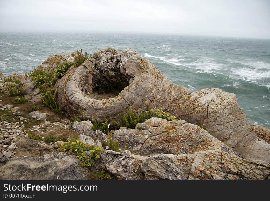 Fossil Forest, Dorset, England