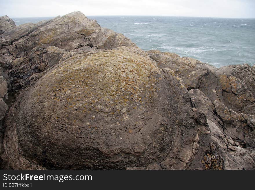 Fossil Forest in Dorset, England