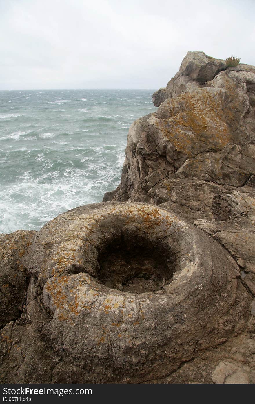 Fossil Forest, Dorset, England