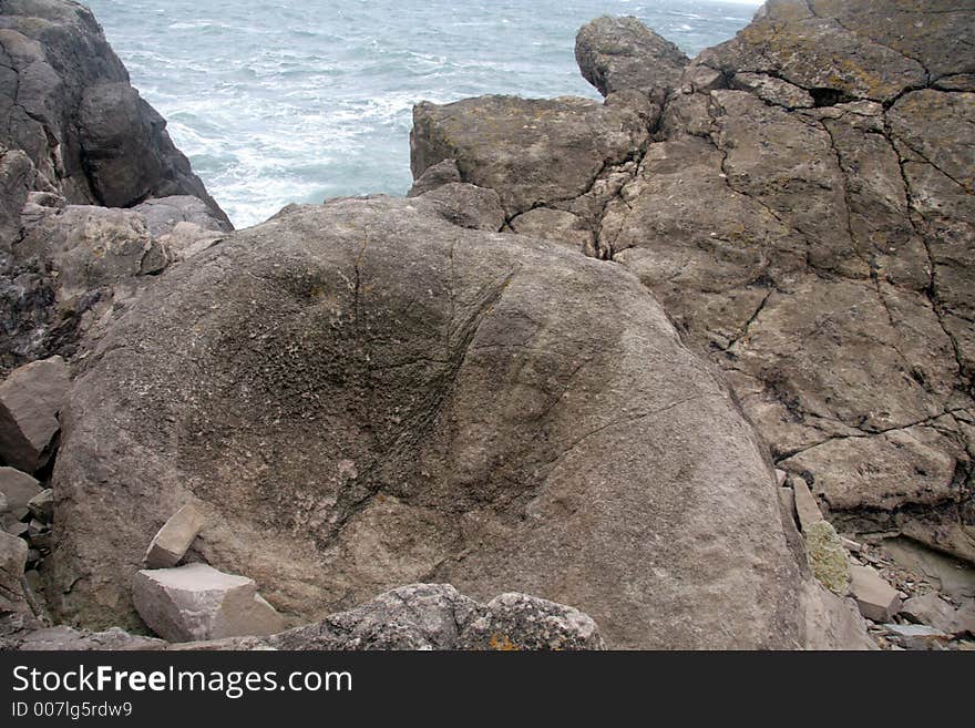 Fossil Forest, Dorset, England