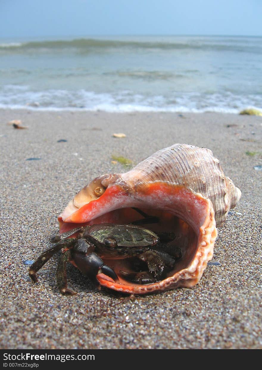 On the beach