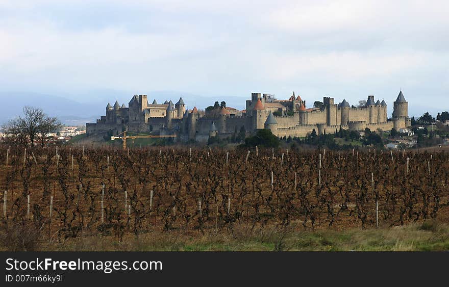 French medieval castle Carcassonne with vineyard on foreground.