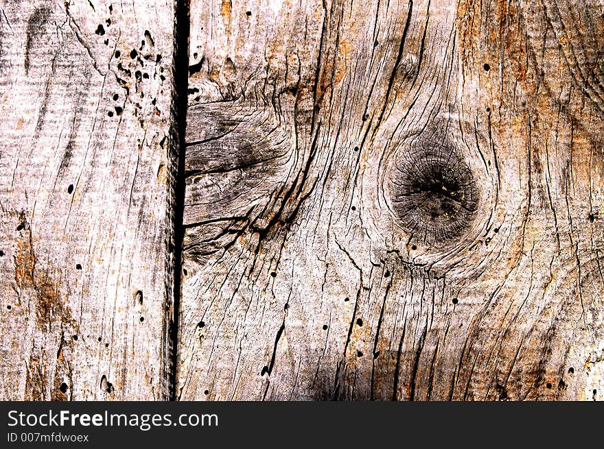 Texture of an old door. Texture of an old door