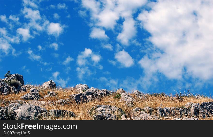 Summer feeling: yelow grass and blue sky. Summer feeling: yelow grass and blue sky