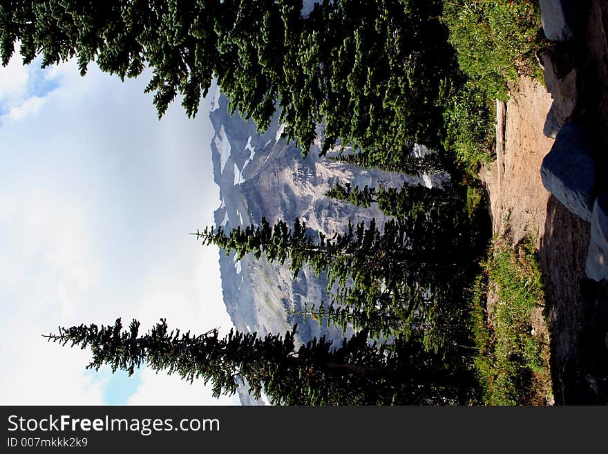 Mount Rainier Trail