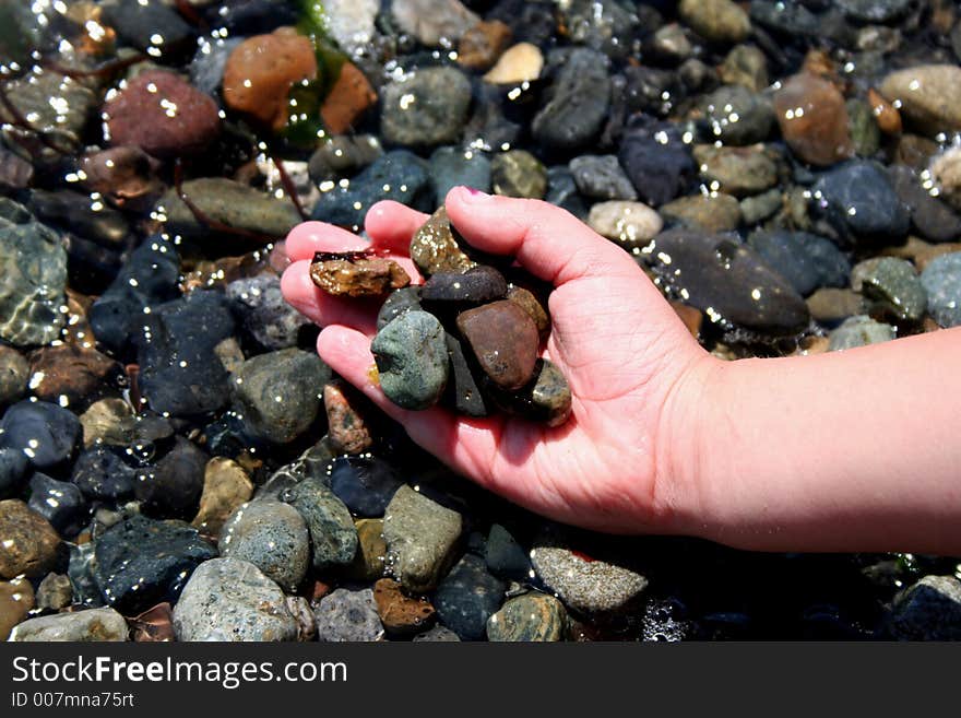 Beach Rocks